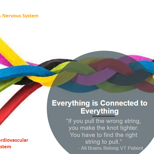 2nd Annual "Everything's Connected to Everything: Improving the Healthcare of Autistic and ADHD Adults" (Mel Houser, M.D.) - logo